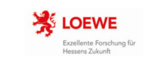 Loewe small cropped