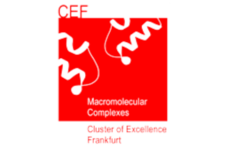 Logo cef spaced