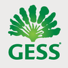 Gess singapore logo