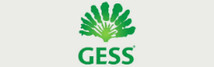Gess logo 2