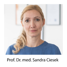 Prof  dr  sandra ciesek   centersprecherin grade medical scientific education