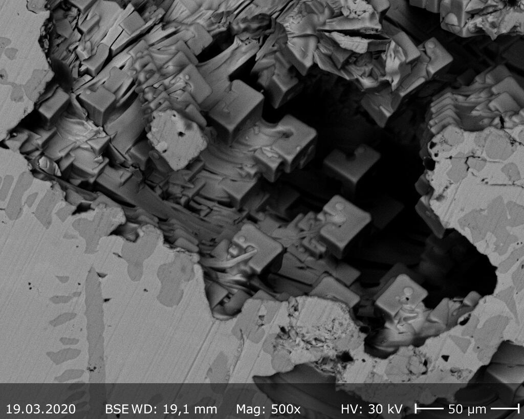 4. Platz: "REM image of EuTe crystals in Bi2Te3 flux" von Sarah Krebber