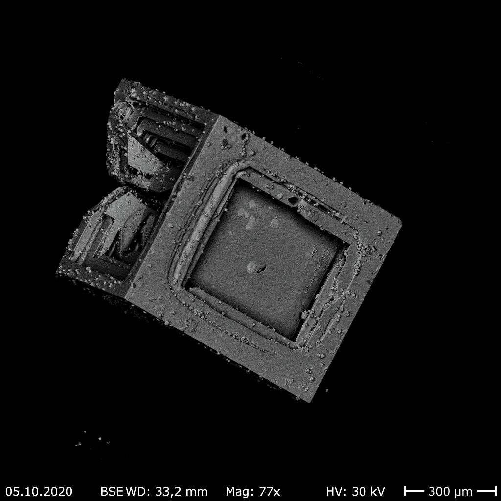 5. Platz: "REM image of MnTe2 crystals" von Sarah Krebber